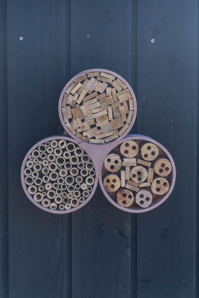 Hovedbilde Insekthotell tre – 30×6×28 cm – rosa