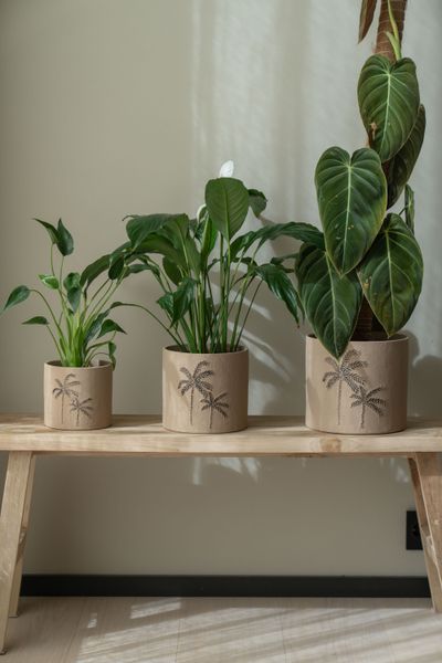 Hovedbilde Blomsterpotte 3pk Palme Brun