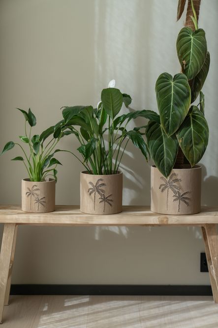 Hovedbilde Blomsterpotte 3pk Palme Brun