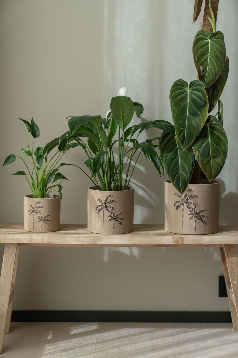 Blomsterpotte 3pk Palme Brun