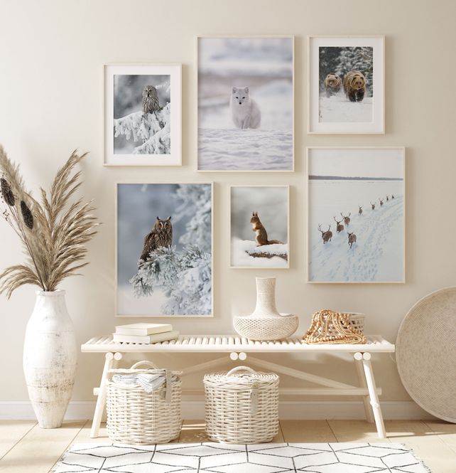 Hovedbilde Poster - Vinter Reinsdyrflokk