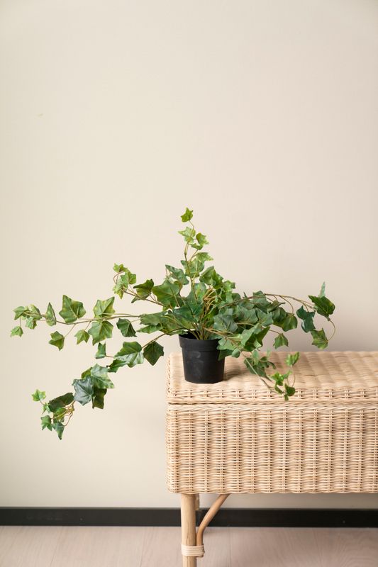 Hengeplante 80cm Grønn