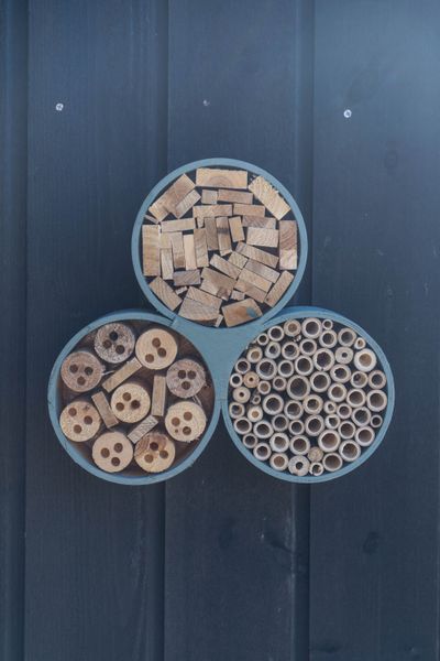 Hovedbilde Insekthotell tre – 30×6×28 cm – grønn