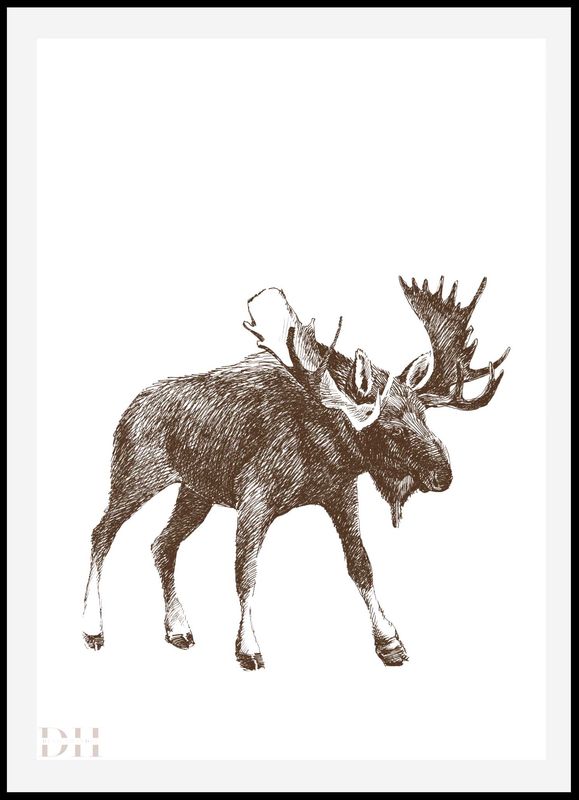 Poster - Villmark Elg