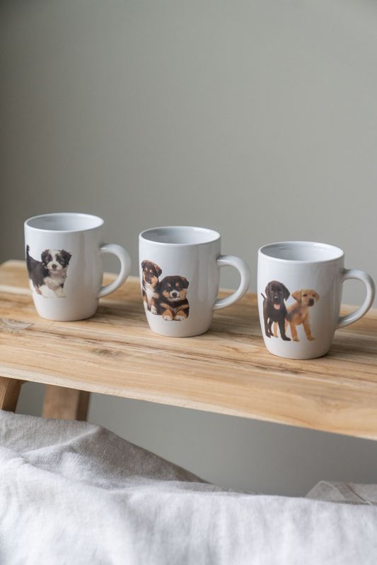 Kaffekopp 3pk - Hund