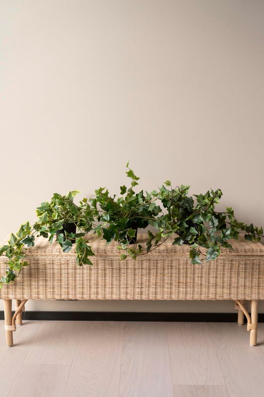 Hengeplante 80cm Grønn