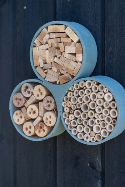 Hovedbilde Insekthotell tre – 30×6×28 cm – grønn