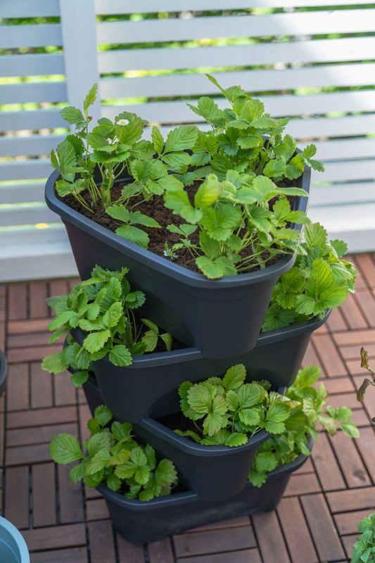 Blomsterpotte 4pk Svart