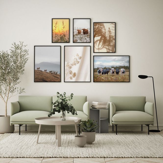 Hovedbilde Poster - Highland Kyr