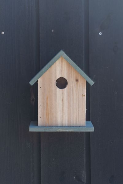 Hovedbilde Fuglekasse tre – 16×11×20 cm – grønn
