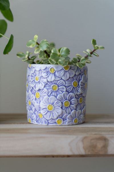 Hovedbilde Blomsterpotte blomster – 10 cm – ...