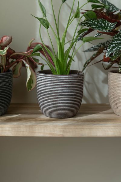 Hovedbilde Blomsterpotte 13,5x12,5cm - Grå