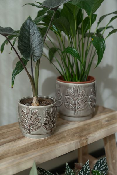 Hovedbilde Blomsterpotte Blad – 2pk Brun