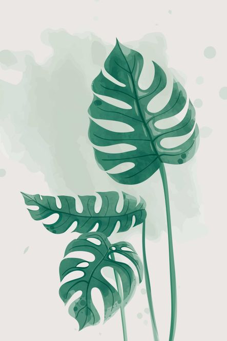 Hovedbilde Poster - Plante 1