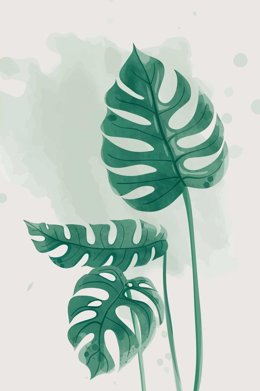 Poster - Plante 1