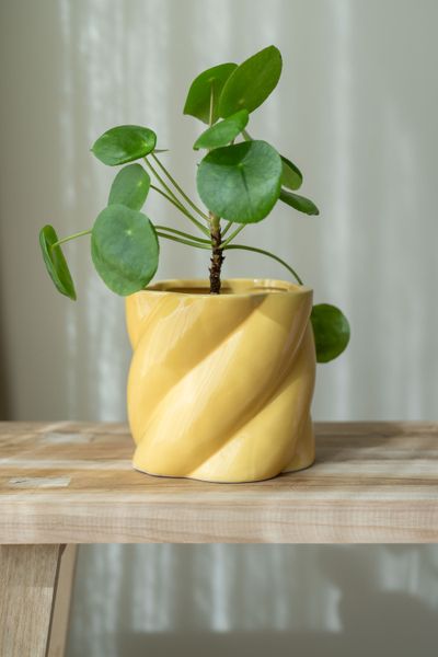 Hovedbilde Blomsterpotte swirl – Gul