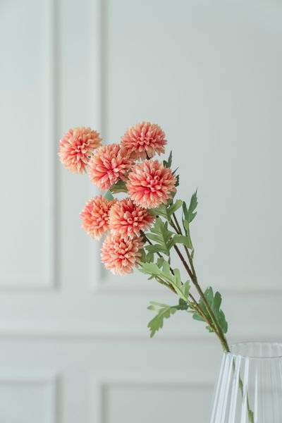 Hovedbilde Kunstig Blomst Krysantemum 77cm - Beige/Rosa