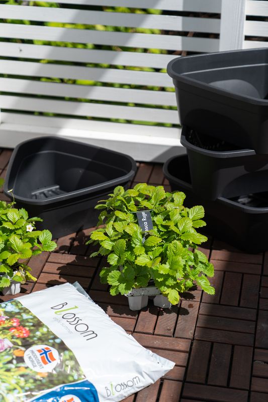 Blomsterpotte 4pk Svart