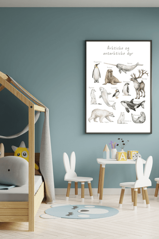 Poster - Arktiske og Antarktiske Dyr