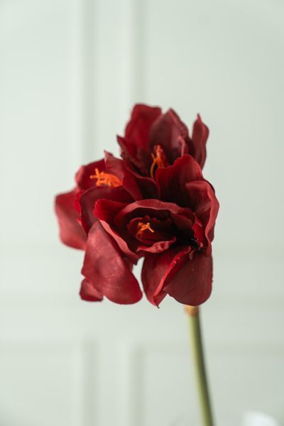 Hovedbilde Kunstig Blomst Amaryllis 66cm - Rød