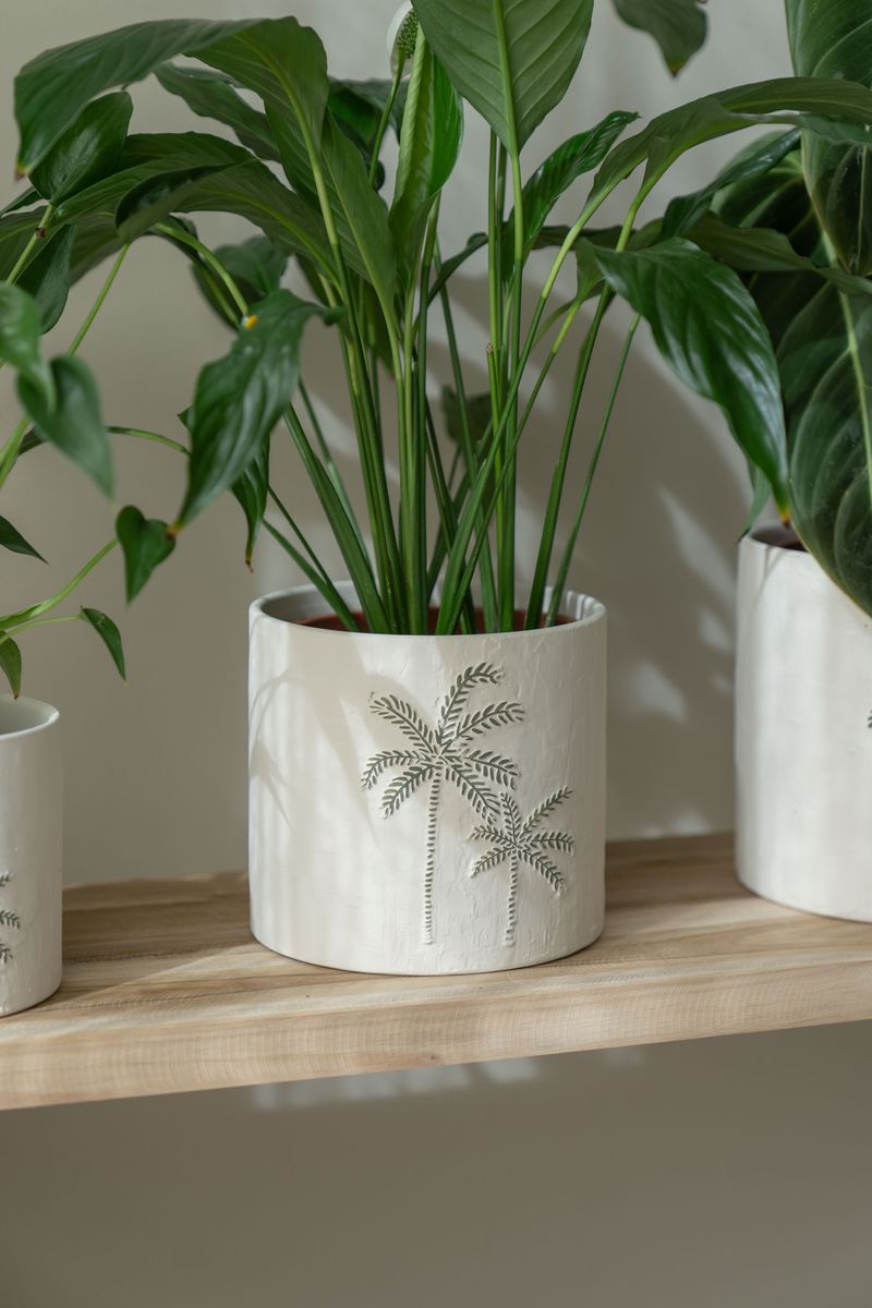 Blomsterpotte 3pk Palme Hvit