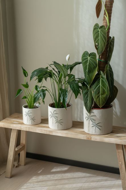 Hovedbilde Blomsterpotte 3pk Palme Hvit