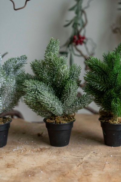Hovedbilde Kunstig Plante - Tre 22cm Dryss